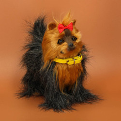 Interaktivní pes York