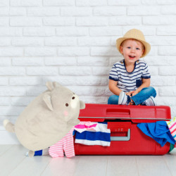 Cestovní polštářek 2v1 na krk pro letadlo, auto, maskot Kočka