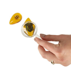 Archeologické vykopávky zasadily hmyz do jantaru