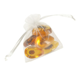 Archeologické vykopávky zasadily hmyz do jantaru