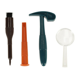 Archeologické vykopávky zasadily hmyz do jantaru