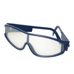 Archeologické vykopávky zasadily hmyz do jantaru