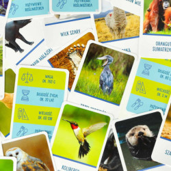 Vzdělávací hra Na vrcholu hry pro zvídavé 8+ MULTIGRA  - polsky jazyk