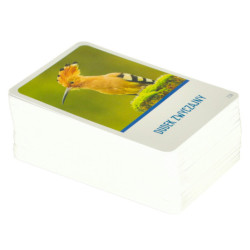 Vzdělávací hra Na vrcholu hry pro zvídavé 8+ MULTIGRA  - polsky jazyk