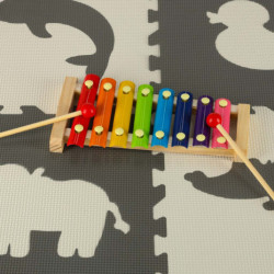 Barevný vzdělávací dřevěný cimbál