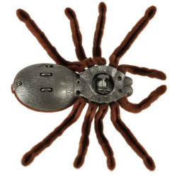 Dálkově ovládaný pavouk TARANTULA + PILOT