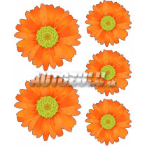 Samolepky set kopretiny 5ks