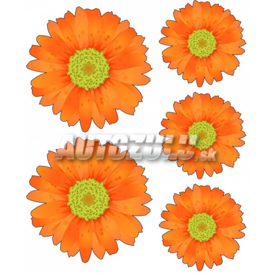 Samolepky set kopretiny 5ks